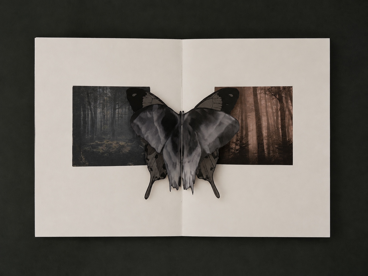 Open handmade book laid flat with a dimensional black butterfly
