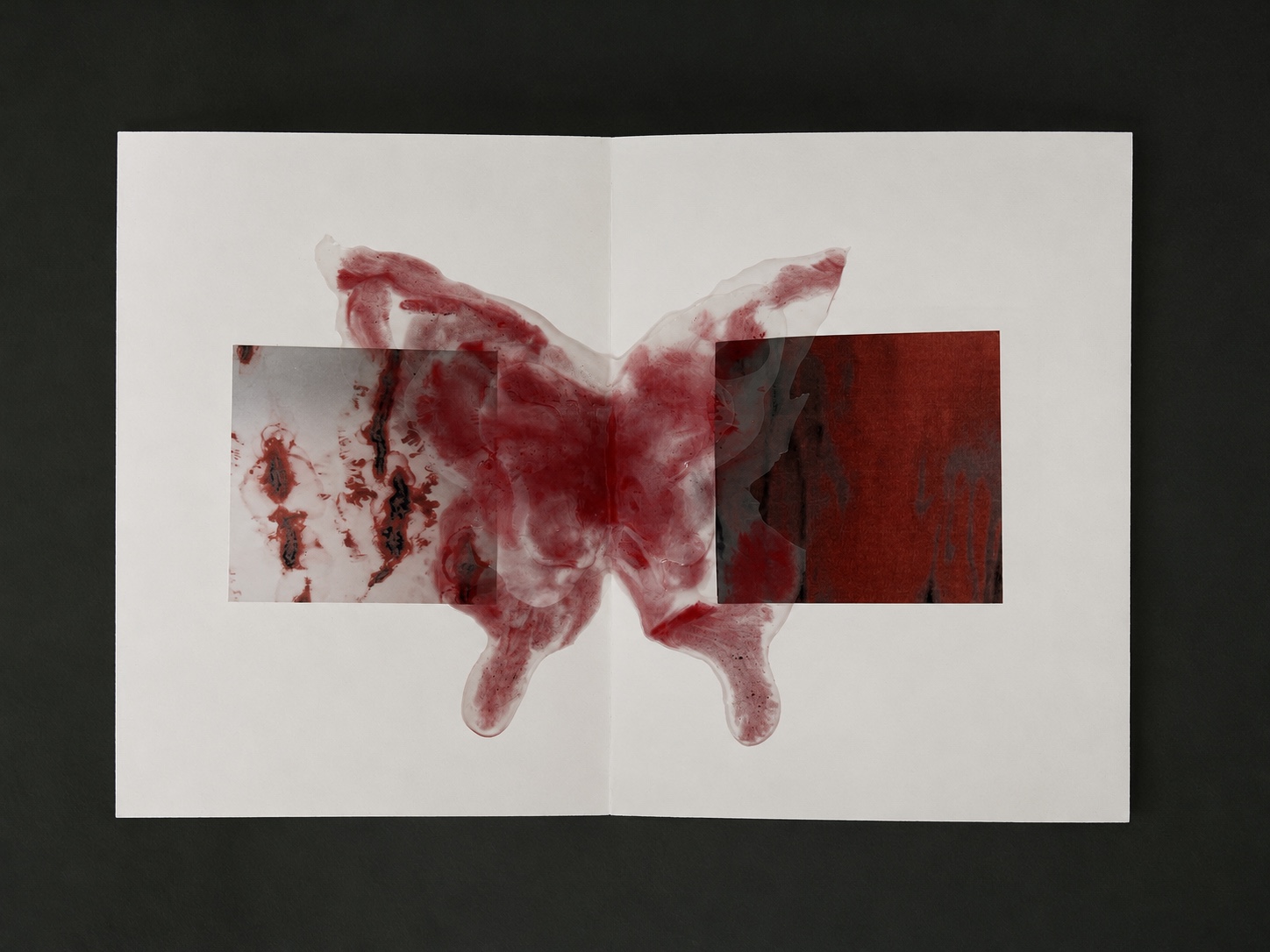 Open handmade book with a translucent red butterfly